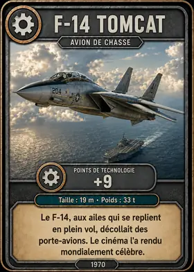 Carte Le F-14 Tomcat — set Avions & aéronautique
