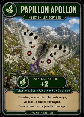 Carte Le papillon Apollon — set Insectes