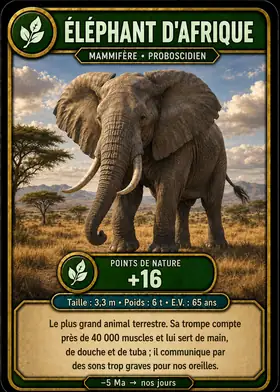 Carte L'éléphant d'Afrique — set Animaux sauvages terrestres