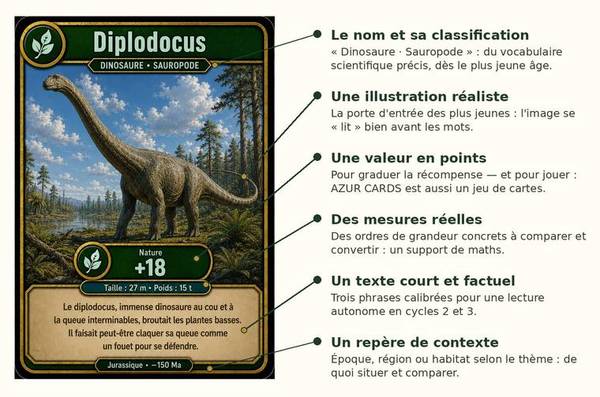 Anatomie d'une carte AZUR CARDS : classification, illustration, valeur en points, mesures réelles, texte factuel